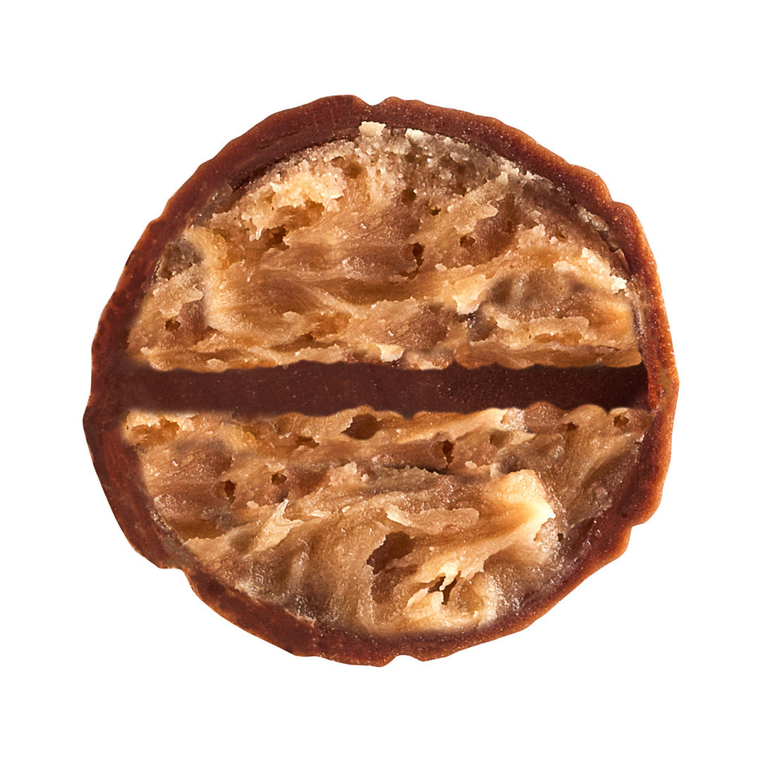 Criollo 45%